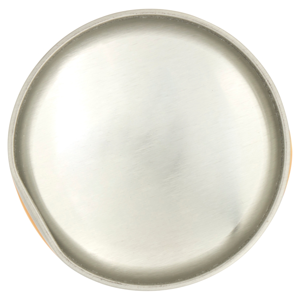 Raid Max Scarafaggi e Formiche 300 ml